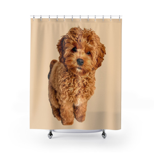 Cavapoo Shower Curtain - Adorable Pet-Themed Home Decor