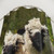 Valais Black-Nosed Sheep Shower Curtain