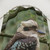 Australian Kookaburra Bird Shower Curtain