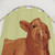 Baby Highland Cow Shower Curtain