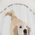 Golden Retriever Doggo Themed Shower Curtain