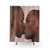 Shower Curtain featuring black men kissing