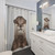 Colorful Otter Shower Curtains for Bathroom Decor