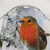 Robin in Snow Shower Curtain - Featuring a Festive Bird Design