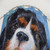 Cavalier King Charles Spaniel Shower Curtain