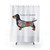Dachshund Anatomy Shower Curtain