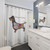 Dachshund Anatomy Shower Curtain
