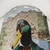 Monsieur Mallard Reading Shower Curtain