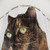 Tortoiseshell Cat Shower Curtain - Adorable Feline Design