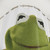 Kermit the Frog Shower Curtain - Muppets Themed Bathroom Decor
