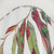 Watercolor Eucalyptus Branch Shower Curtain