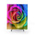 Rainbow Rose Shower Curtains - Vibrant Colorful Floral Design