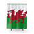 Wales National Flag Shower Curtain
