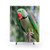 Alexandrine Parrot Shower Curtain featuring a vibrant bird design