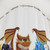 Wings of Fire Main Five Dragon Shower Curtains