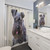 Black Miniature Schnauzer Shower Curtain