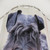 Black Miniature Schnauzer Shower Curtain