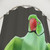Indian Ringneck Parrot Shower Curtain