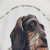 Dachshund Wire Haired Shower Curtain