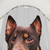 Kelpie Australian Shepherd Shower Curtains