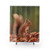 Autumnal Red Squirrel Shower Curtain