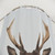 Elegant Deer Shower Curtain