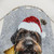 Wirehaired Pointer Dog Christmas Shower Curtains