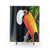 Vibrant Toucan Toco tropical bird shower curtain