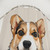 Cute Corgi Dog Illustration Shower Curtain