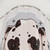 Dalmatian Dog Shower Curtain