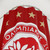 Olympiacos FC Shower Curtains
