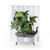 Cute Cthulhu Dragon Shower Curtain