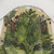 Mandragora Mother Shower Curtains featuring a botanical witch design