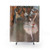 Impressionist Ballet Dancer Shower Curtains