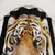 Tiger print shower curtain with vibrant wildlife design