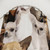 Chihuahua Shower Curtain - Adorable Puppy Design