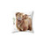 Soft and Decorative Highland Cow Pillow