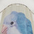 Blue Quaker Parrot Portrait Shower Curtain