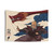 Dragon of the West Tapestry - Avatar: The Last Airbender Wall Art
