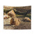 Capybara Tapestry - Nature Wildlife Wall Art