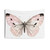 Soft Peach Butterfly Tapestry