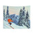 Skiing - The Clear Leader Tapestry