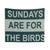 Philadelphia Eagles Tapestry featuring the 'Sundays are for the Birds' design