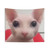 Bingus Meme Cat Tapestry