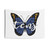 TCNJ Butterfly Tapestry Wall Decor