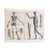 19th Century Anatomy Illustration of Human Skeleton Tapestry