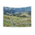 Wildflower Meadow Tapestry Wall Hanging