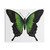 Green Butterfly Tapestry for Nature Wall Decor