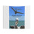 Educational Brown Pelican Tapestry