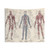 Vintage Scientific Illustration Tapestry featuring Adolphe Millot's Human Anatomy Drawings